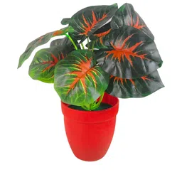 Dekorly Red Plastic Money Plant Artificial Flowers & Plants With Pot-picture-15