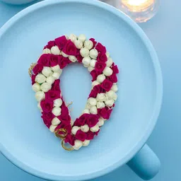 GADINFASHION Women Ponytail Holders-picture-18