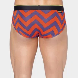 bummer Pack Of 2 Printed Basic Briefs BRCACH02S image 3