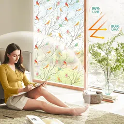 amazbird Residential Window Film image 3