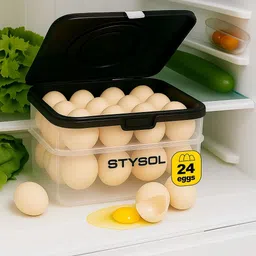 stysol Plastic Egg Container - 2 dozen-picture-19