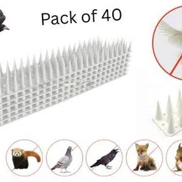 plastkart Bird Spike-picture-35