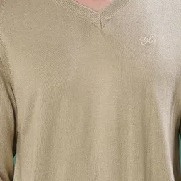 V-Mart Men Pullover with Embroidered Detail image 5