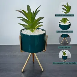 Art Street Antique Green Plant Ceramic Pot With Stand image 2