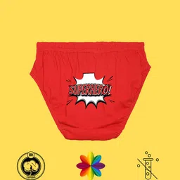 NUSYL Boys Pack Of 3 Printed Mid Rise Basic Briefs - NUBCBRFPO3.0154 image 2