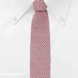 Cazzano Men Checked Broad Tie image 2