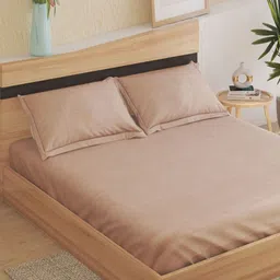 Home Centre Beige 210 TC King Bedsheet with 2 Pillow Covers-image-66