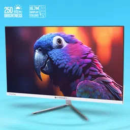 ZEBRONICS Pure Pixel 60.96 cm (24 inch) Full HD VA Panel with 250 nits brightness, HDMI, VGA, Ultra Slim Bezel, Built-in Speakers, Metal Stand, Wall Mountable Monitor (ZEB-EA124) image 2