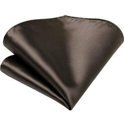 VOICI Solid Pocket Squares-picture-6