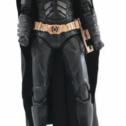 rishienterprises Batman-picture-17