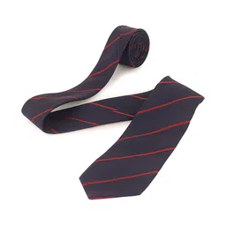 TADWILL Men Striped Broad Tie with Lapel Pin image 2
