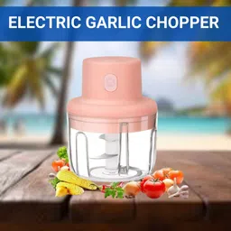frony Chopper (Electric Rechargeable Chopper) for Kitchen Vegetable Garlic Onion A322 Electric Vegetable & Fruit Chopper-picture-36