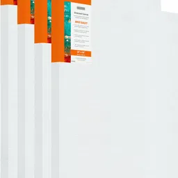 pragati systems 'Artist' Series 10 oz Pre-stretched Canvas (24"x36") Polycotton Medium Grain Pre Stretched Canvas (Set of 4)-picture-21