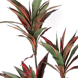 casacraft from pepperfry Green Polyester Artificial Draceana Plant Without Pot image 4