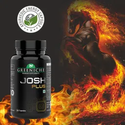 greeniche 100% Ayurvedic Josh Plus for Men - Energy & Stamina image 4