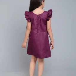 Pink Chick Colourblocked Flutter Sleeve A-Line Dress image 5