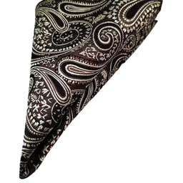 voici Paisley Design Cravats & Pocket Square Combo image 3