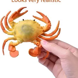 mallexo Sea Animal Toys for Kids 9PC Multi-color Ocean Animal Creatures Undersea Animal image 3