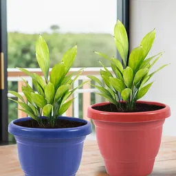 Kuber Industries Blue & Red 6 Pieces Versatile Sturdy Flower Planters image 5