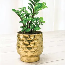 Ekhasa Gold Textured Metal Planters-picture-46