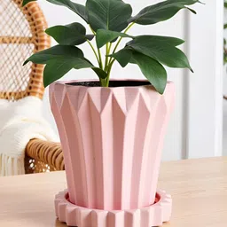 LASAKI Flory Pink Ceramic Handmade Planter With Plate image 2
