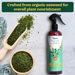 ugaoo Plant Tonic Spray Organic Seaweed Spray Aquatic Plant Fertilizer image 3