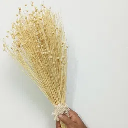 Vanchai Off White 1 Pieces Artificial Plant image 2