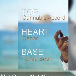 MASTERLY WEFT Marken Long Lasting Eau De Parfum - 20 ml image 4