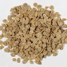 cloud farm tomato seeds/hybrid tomato seeds for plant Seed image 4