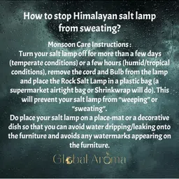 global aroma Birds Soul Himalayan rock salt crafted Lamp image 2
