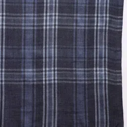 Pashmoda Women Checked Woven Design Shawl image 4