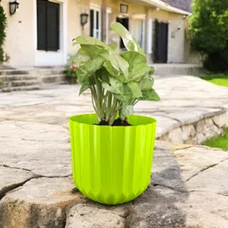 GARDEN'S NEED Sofia Green 5 Pieces Textured Planters image 3