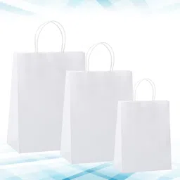 White Paper Bags Gift Bags with Handle For Shopping Bags, Gift Bag, Store Gifts-image-32
