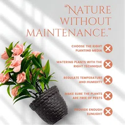 Myntra Elegant Homes Black 1 Pieces Artificial Plant With Pot image 5