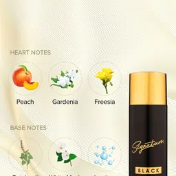 Signature Set Of 2 Men Long-Lasting Black Deodorant Body Spray - 200 ml Each image 3