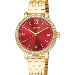 ESPRIT Women Embellished Dial & Stainless Steel Straps Analogue Watch ES1L401M0065-image-72