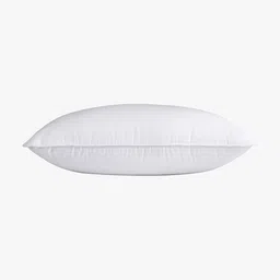 the cosmo PILLOW Cotton Solid Cushion Pack of 4 image 3