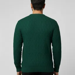 woolcraft Men Woven Round Neck Green Sweater image 2