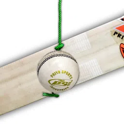 vibco Premium White Practice Hanging Cricket ball For Bat Knocking Cricket Training Ball-picture-14