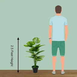 buffels india 18leafe artificial plant Wild Artificial Plant with Pot image 4