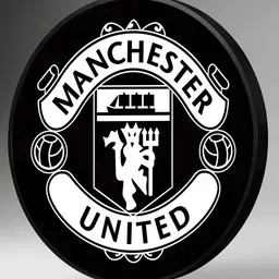 art street 18 Inches Flower Canvas Framed Manchester United Wall Art Painting image 5