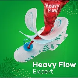 shyama Freedom Regular Sanitary Pad 245mm (15Pads) Sanitary Pad image 3