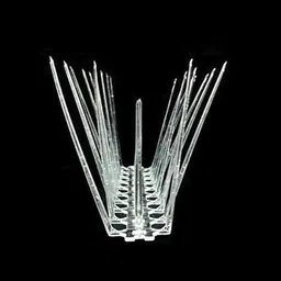 rainbow gallery Bird Spike-picture-22