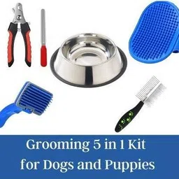 hachiko Dog Needs (Combo Of 5) Imported High Quality Grooming Dog Slicker + Nail Clipper + Hair Comb + Pet Bowl + Bath Gloves Grooming Kit For Pets Basic Comb for Dog, Cat, Rabbit, Hamster, Dog & Cat Basic Comb for Dog, Cat, Rabbit, Hamster image 1