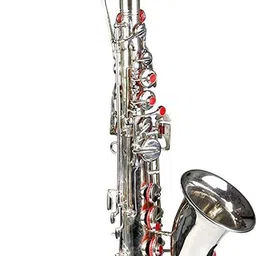 raghav associates alto saxophone alto saxophone Alto Saxophone-picture-26