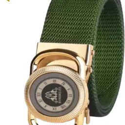 Men Casual Green, Gold Nylon Belt-image-1