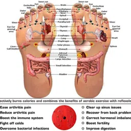 gjshop Double Spring Tummy Trimmer for Weight loss and Fat Burn Ab Exerciser image 5