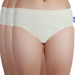ni2 Pack of 3 Women Hipster Beige Panty-picture-18