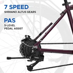 emotorad T-Rex ProMTB|Handlebar with Integrated Display, Light and Indicators|Deep Purple 29 inches 7 Gear Lithium-ion (Li-ion) Electric Cycle image 5