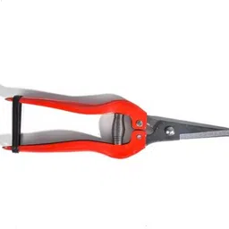 nityaecommerce Customized Logo Pruners Shears Flower Cutting Pruning Shears Straight Snip Pruner RED Stainless Steel Small Size Branch Shear Bypass Pruner image 2